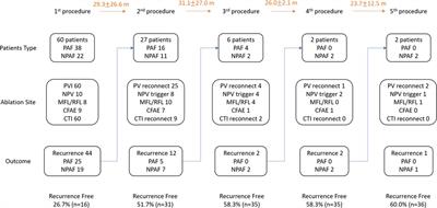 Catheter ablation in Asian patients with atrial fibrillation and hypertrophic cardiomyopathy: electrophysiological characteristics of recurrence and long-term clinical outcomes